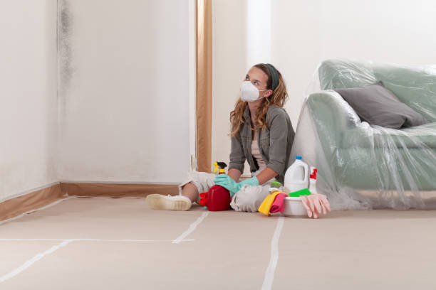 Reliable Mold Remediation contractor in Beulah, MI by Car Mold Remediation